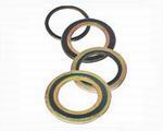 LW-500 Spiral Wound Gasket